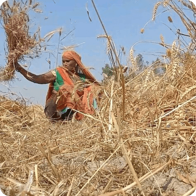 Card example background